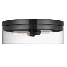 Dainolite FNA-142FH-MB-CLR - 2 Light Incandescent Flush Mount Matte Black with Clear Glass