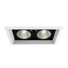 Eurofase TE132-02 - MuLT, Par30, Trm, 2LT , 75w, Wh/blk