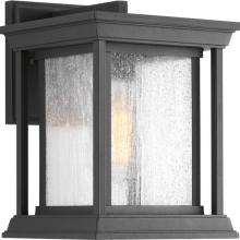 Progress P5605-31 - P5605-31 1-100W MED WALL LANTERN