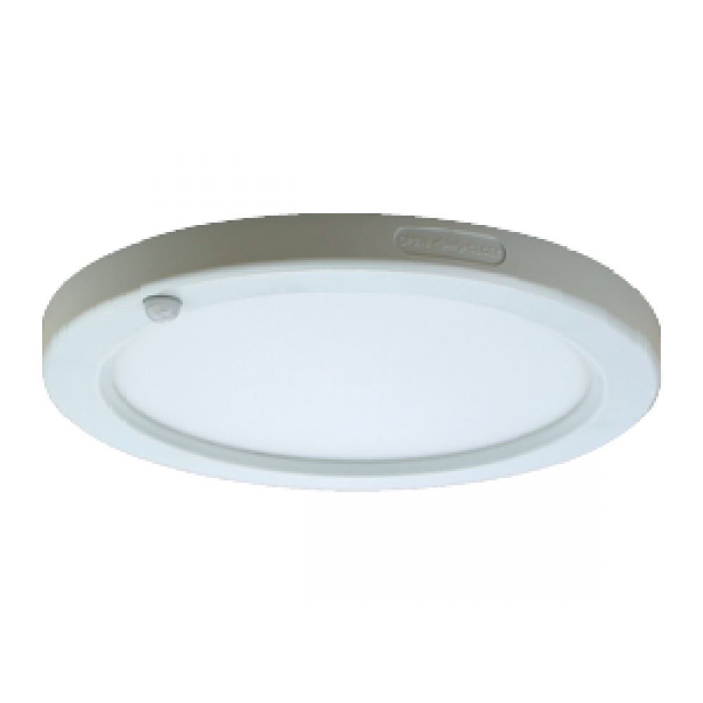 Motion Sensor light