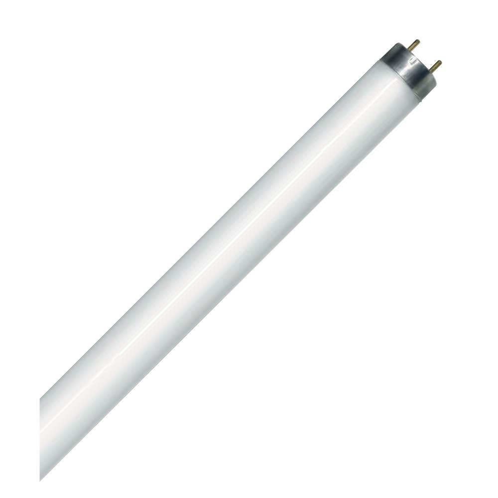 Fluorescent LINEAR T8 48IN Med Bipin G13 Base 32W 3 500K Rapid Start (RS) Standard