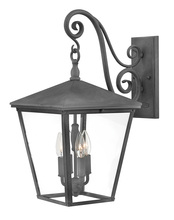 Hinkley Canada 1435DZ - Large Wall Mount Lantern