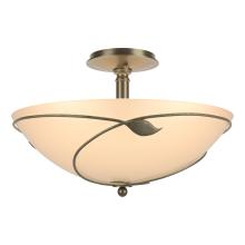 Hubbardton Forge - Canada 126732-SKT-84-SS0052 - Forged Leaves Large Semi-Flush