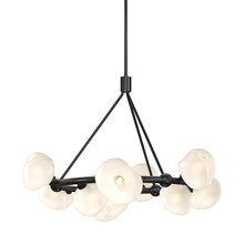 Hubbardton Forge - Canada 131069-SKT-MULT-89-FD0710 - Ume 9-Light Ring Pendant