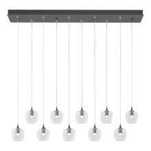 Hubbardton Forge - Canada 131203-SKT-STND-20-ZM0709 - Ume 10-Light Pendant