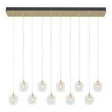 Hubbardton Forge - Canada 131203-SKT-STND-86-ZM0709 - Ume 10-Light Pendant