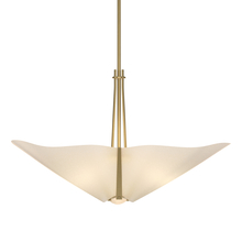 Hubbardton Forge - Canada 133303-SKT-MULT-86-SH1994 - Kirigami 3 Light Pendant