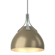 Hubbardton Forge - Canada 134502-SKT-MULT-82-84 - Summit Pendant