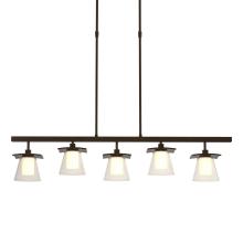 Hubbardton Forge - Canada 136605-SKT-STND-14-ZU0284 - Wren 5 Light Pendant