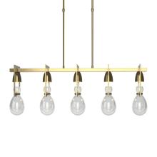 Hubbardton Forge - Canada 137810-SKT-LONG-86-ZM0572 - Apothecary Pendant