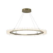 Hubbardton Forge - Canada 139772-LED-STND-86 - Anemone Circular LED Pendant