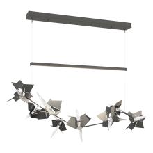 Hubbardton Forge - Canada 139813-LED-STND-20-14-CR - Belladonna LED Pendant