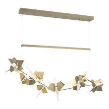 Hubbardton Forge - Canada 139813-LED-STND-84-86-CR - Belladonna LED Pendant