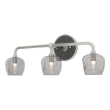 Hubbardton Forge - Canada 201342-SKT-85-14-YL0709 - Ume 3-Light Curved Arm Bath Sconce