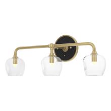 Hubbardton Forge - Canada 201342-SKT-86-10-ZM0709 - Ume 3-Light Curved Arm Bath Sconce