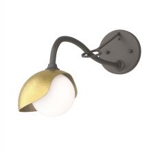 Hubbardton Forge - Canada 201376-SKT-07-86-GG0711 - Brooklyn 1-Light Single Shade Long-Arm Sconce