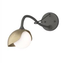 Hubbardton Forge - Canada 201376-SKT-20-84-GG0711 - Brooklyn 1-Light Single Shade Long-Arm Sconce