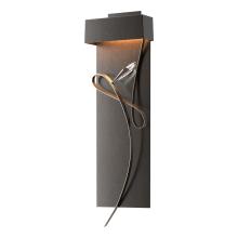 Hubbardton Forge - Canada 205440-LED-14-05-CR - Rhapsody LED Sconce