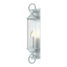 Hubbardton Forge - Canada 303080-SKT-78-ZM0034 - Cavo Large Outdoor Wall Sconce